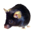 mouse_icon.png