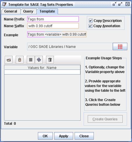 An image of the Template's Template panel