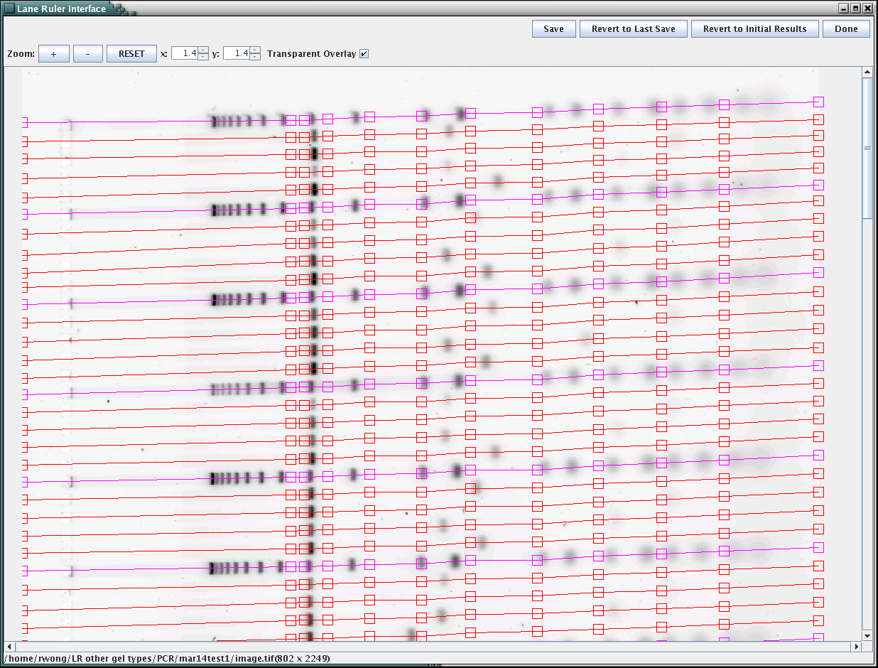 Sample lane tracking result for a PCR gel.