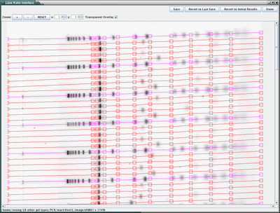 Sample lane tracking result for a PCR gel.