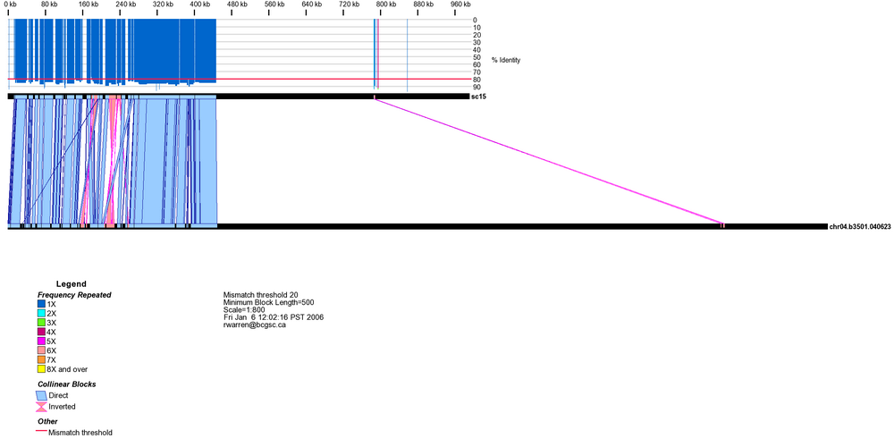 Alignment between C. gattii strain WM276 and B3501