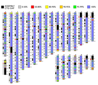 Coverage of the clone set of the sequence assembly (UCSC, June 2002)