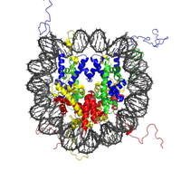 nucleosome structure. Source: http://en.wikipedia.org/wiki/File:Nucleosome_1KX5_colour_coded.png
