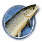 salmon-icon-small.png