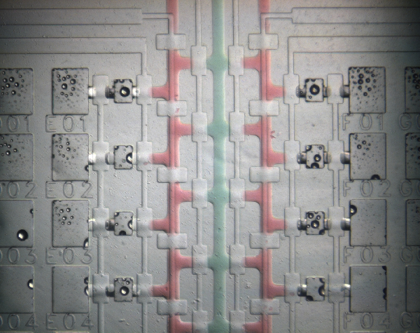 Microfluidic Chip Prototype